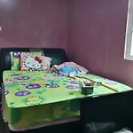 Pharaoh Home